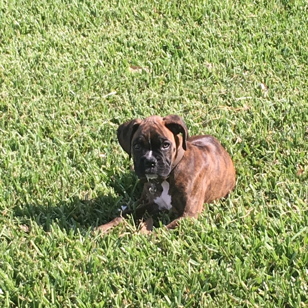 Meet your Posher, Angela